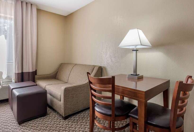 ホテル Comfort Inn South Indianapolis