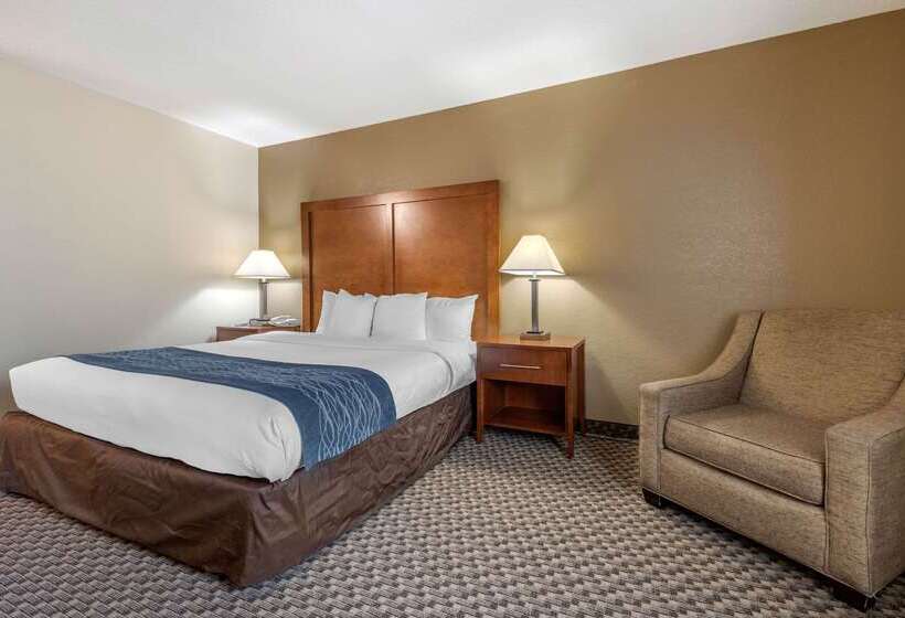 هتل Comfort Inn South