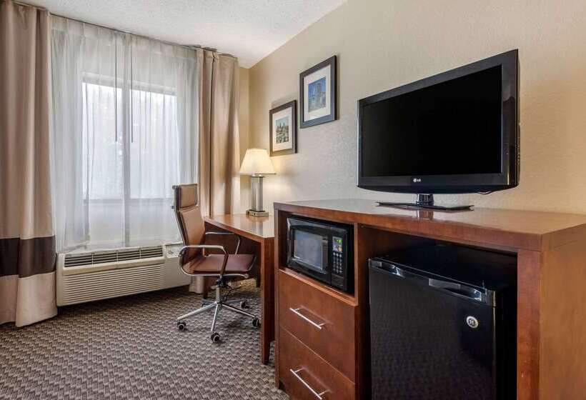 هتل Comfort Inn South