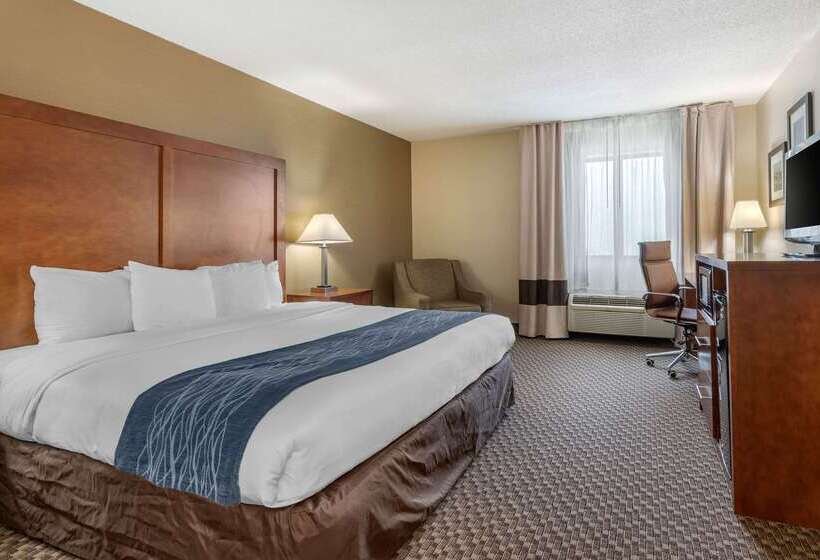 ホテル Comfort Inn South Indianapolis