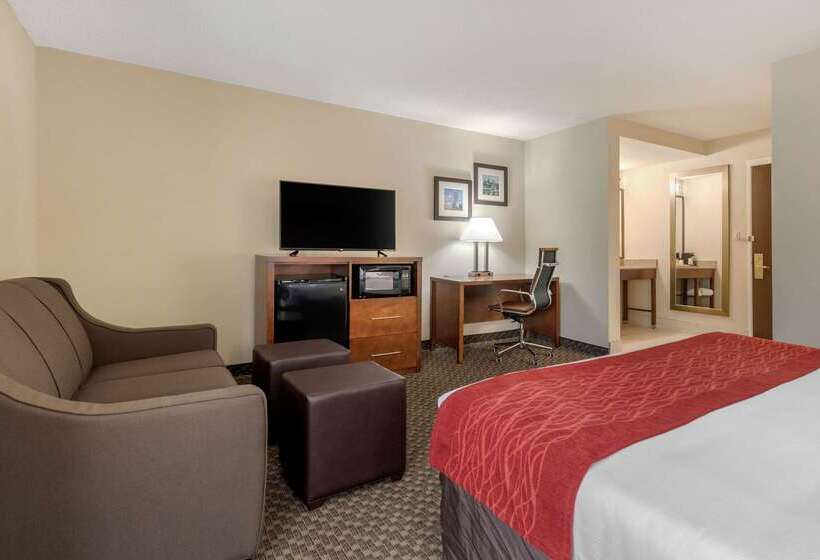 هتل Comfort Inn South