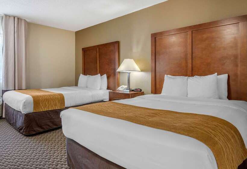 ホテル Comfort Inn South Indianapolis