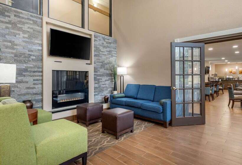 هتل Comfort Inn South