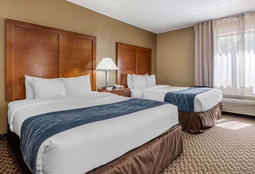 ホテル Comfort Inn South Indianapolis