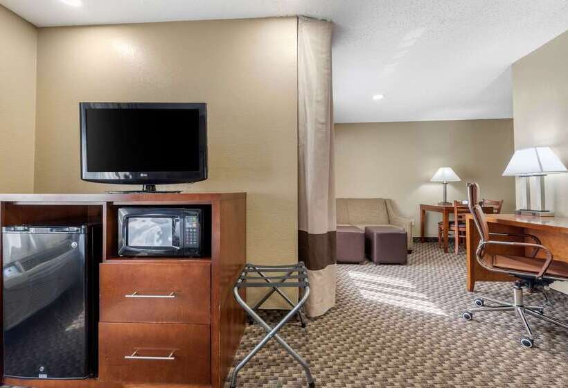 هتل Comfort Inn South