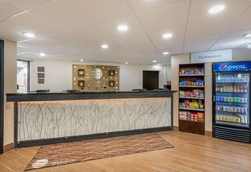 هتل Comfort Inn South