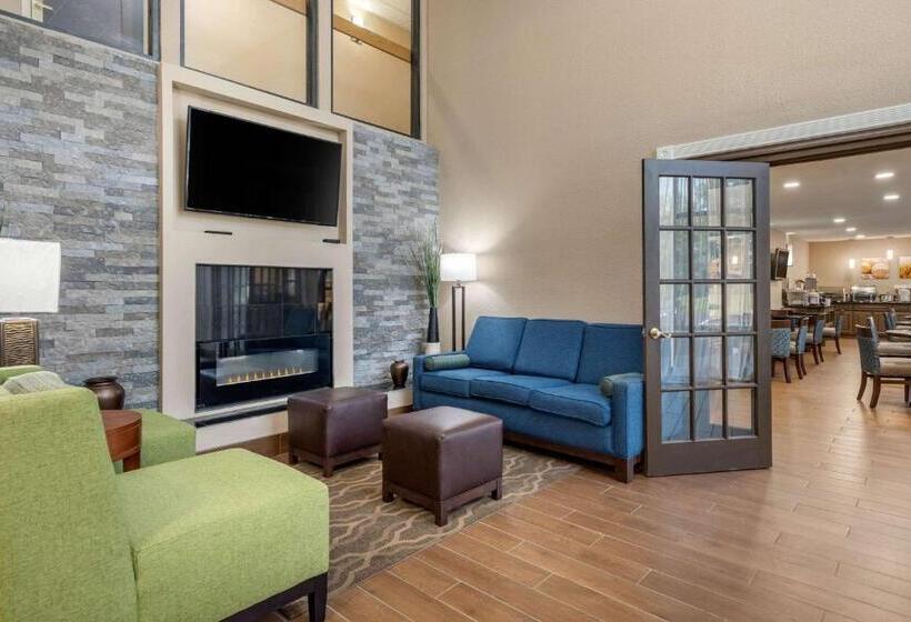 هتل Comfort Inn South