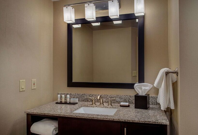 هتل Embassy Suites By Hilton St. Louis Airport