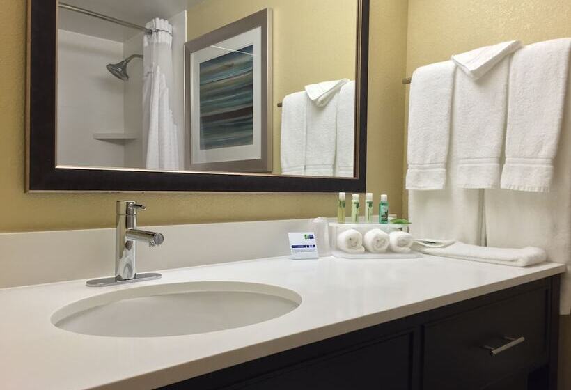 酒店 Holiday Inn Express Chicago Nw Arlington Heights, An Ihg