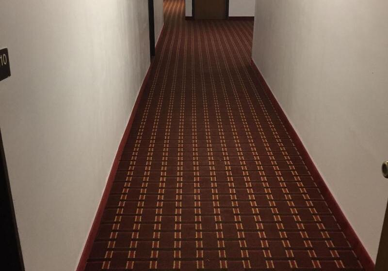 هتل Luxury Inn & Suites