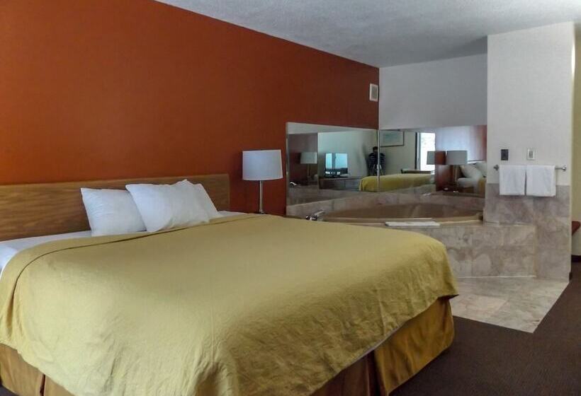 هتل Econo Lodge Manistee