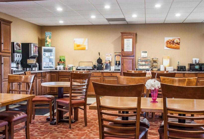 هتل Quality Inn Airport