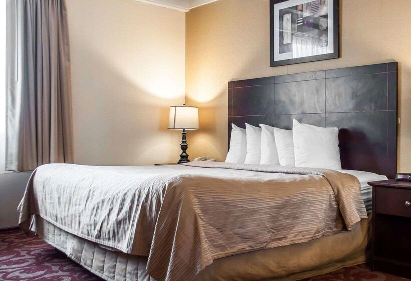 هتل Quality Inn Airport