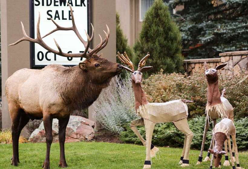 هتل Quality Inn Near Rocky Mountain National Park