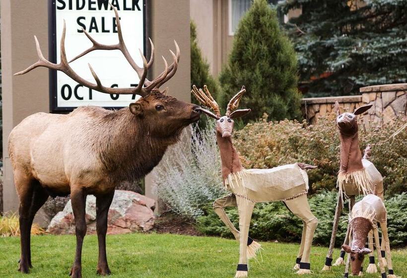 هتل Quality Inn Near Rocky Mountain National Park