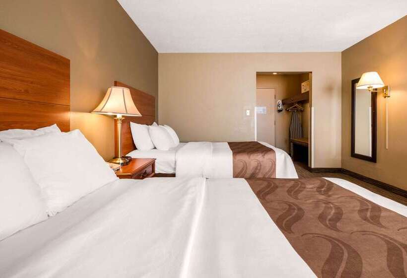 ホテル Quality Inn & Suites New Castle