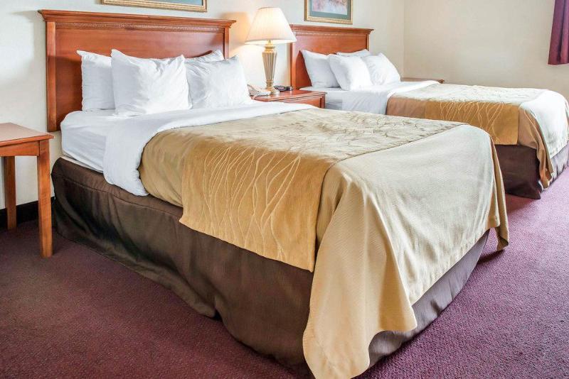 ホテル Quality Inn & Suites New Castle
