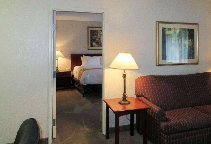 هتل Quality Inn & Suites Downtown   University Area