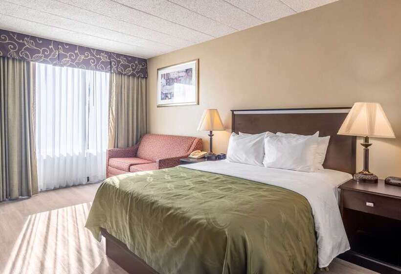 ホテル Quality Inn & Suites