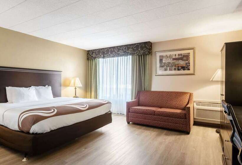 ホテル Quality Inn & Suites