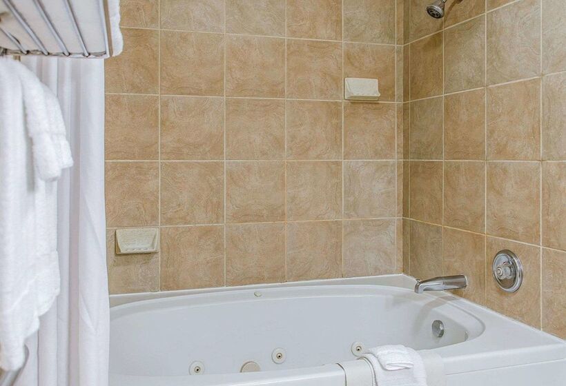 בית מלון כפרי Quality Inn & Suites