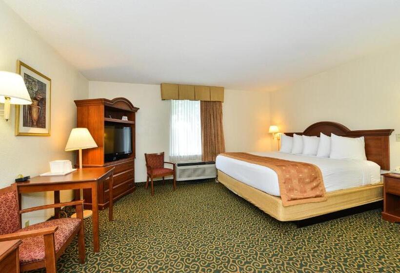 בית מלון כפרי Deluxe Inn Wytheville