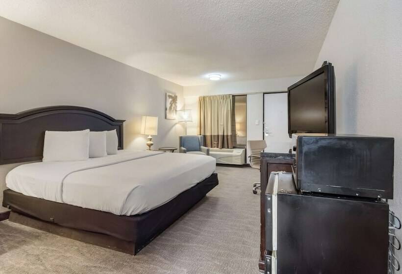 هتل Rodeway Inn