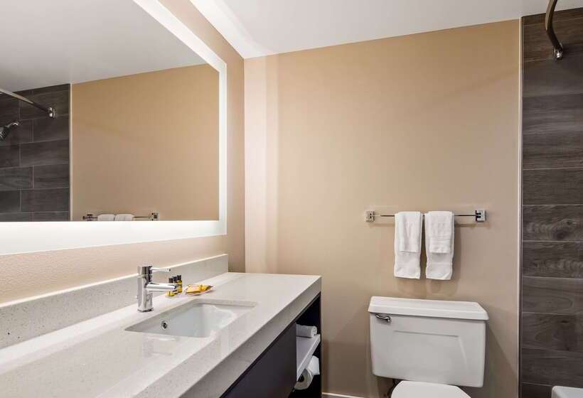 호텔 Best Western Plus Greenville I385 Inn & Suites