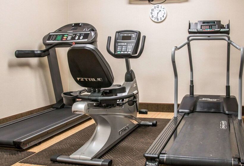 酒店 Comfort Inn & Suites And Conference Center