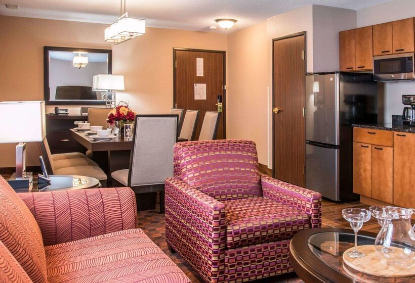 酒店 Comfort Inn & Suites And Conference Center