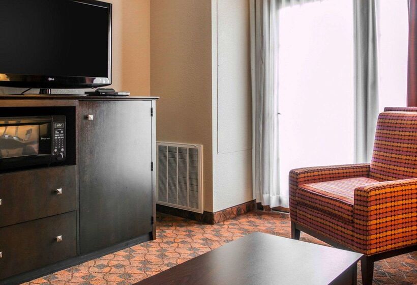 酒店 Comfort Inn & Suites And Conference Center