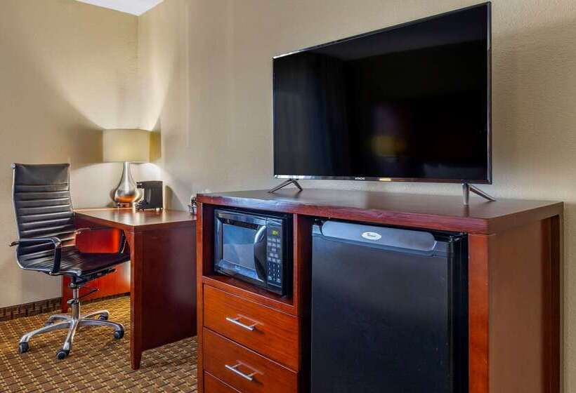 ホテル Comfort Inn Fort Mill Amusement Park At Carowinds Blvd