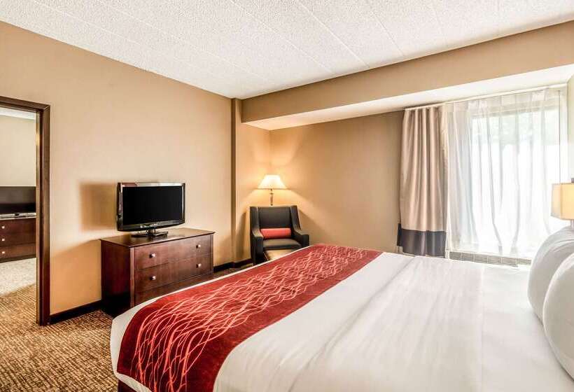 Hotel Comfort Inn Convention Centerchicago O Hare Airport