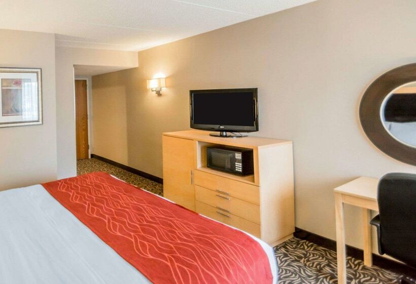 Hotel Comfort Inn Nys Fairgrounds