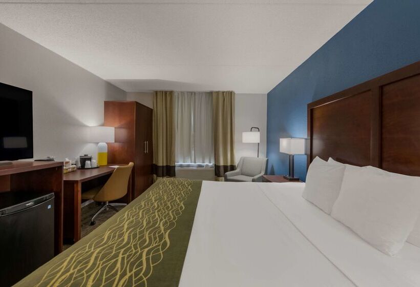 Hotel Comfort Inn Newport News  Hampton I64