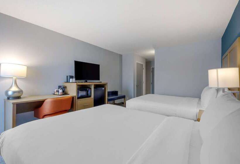 Hotel Comfort Inn & Suites Alexandria West
