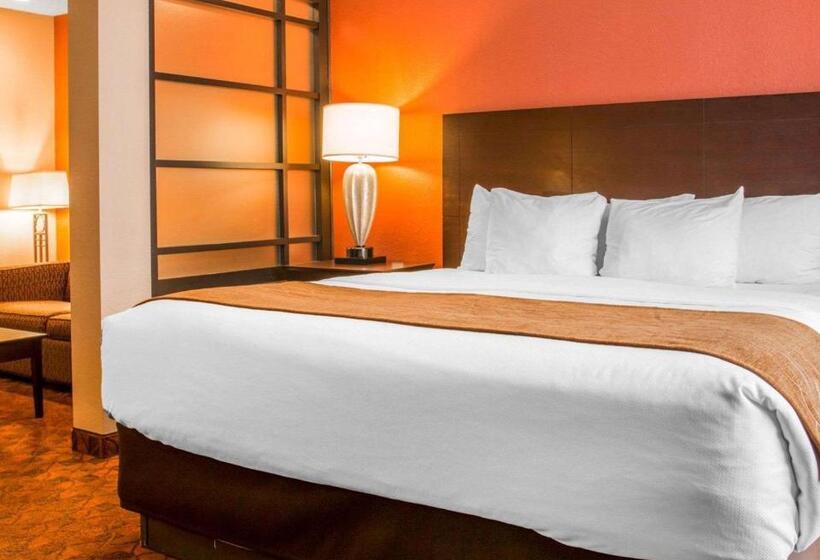 酒店 Comfort Inn & Suites And Conference Center