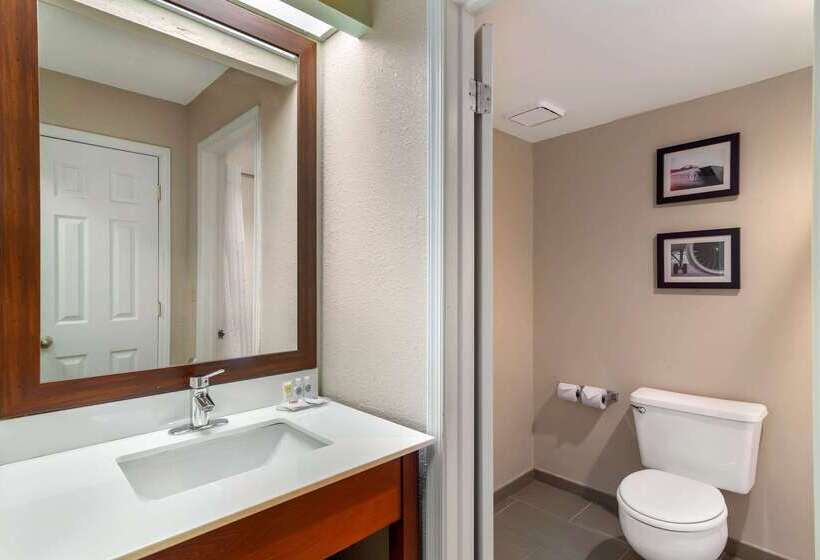 هتل Comfort Inn & Suites  Near Robins Air Force Base Main Gate
