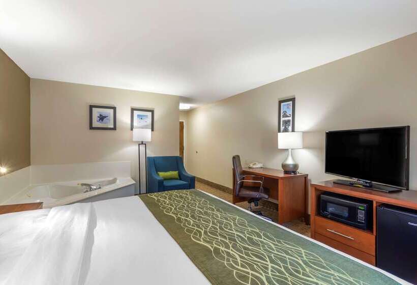 هتل Comfort Inn & Suites  Near Robins Air Force Base Main Gate