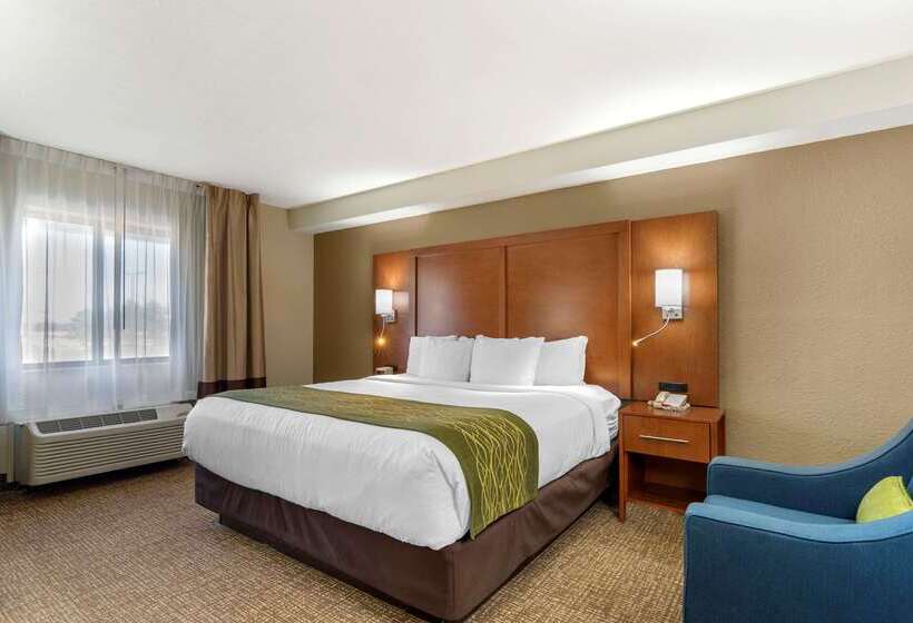 فندق Comfort Inn & Suites  Near Robins Air Force Base Main Gate