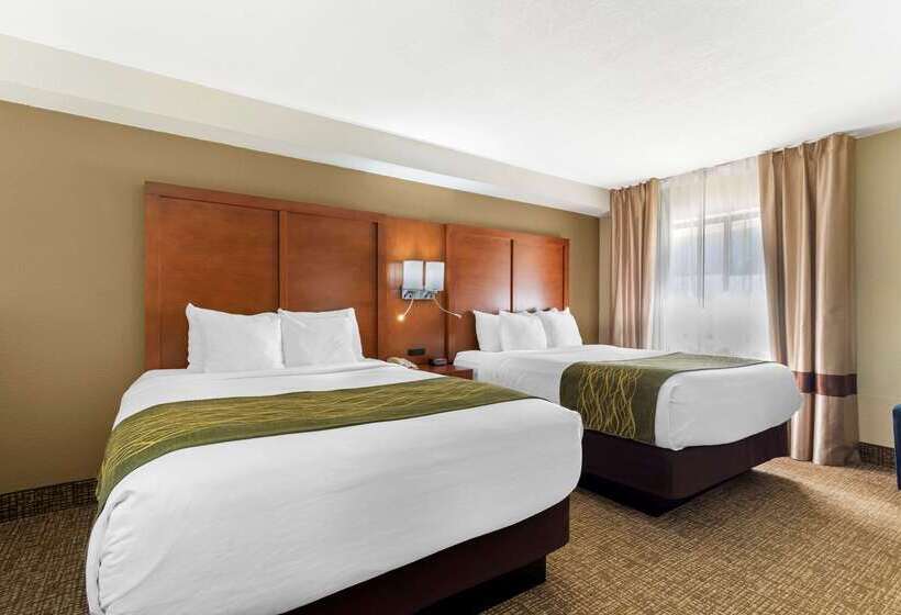هتل Comfort Inn & Suites  Near Robins Air Force Base Main Gate