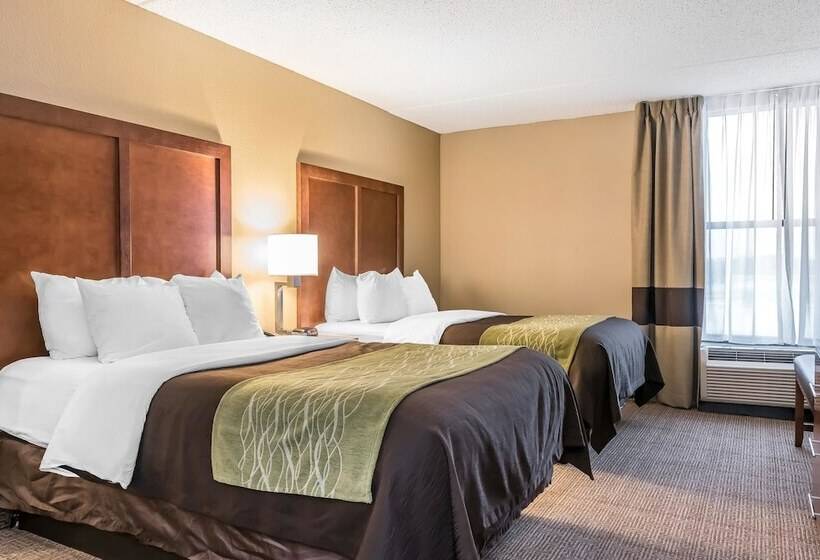 فندق Comfort Inn & Suites Piquanear Troyi75