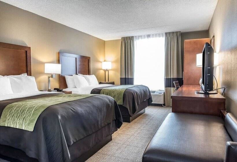 בית מלון כפרי Comfort Inn & Suites Piquanear Troyi75