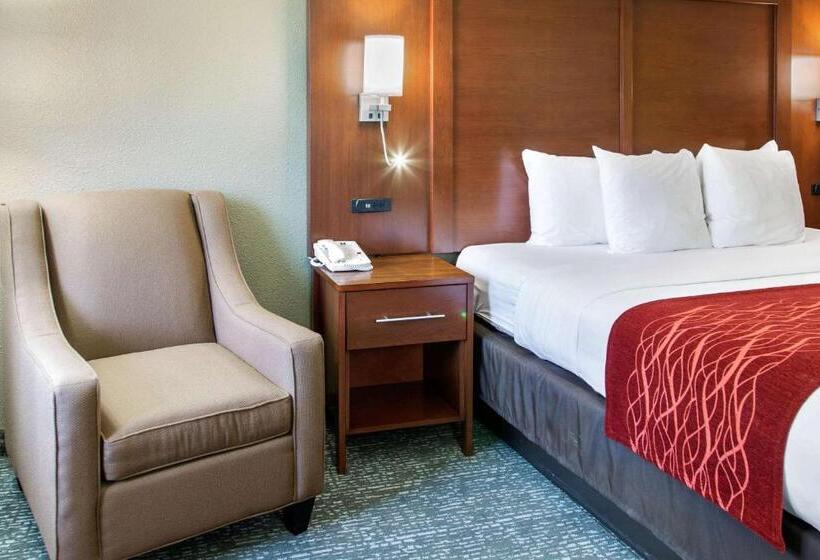 هتل Comfort Inn & Suites San Francisco Airport North