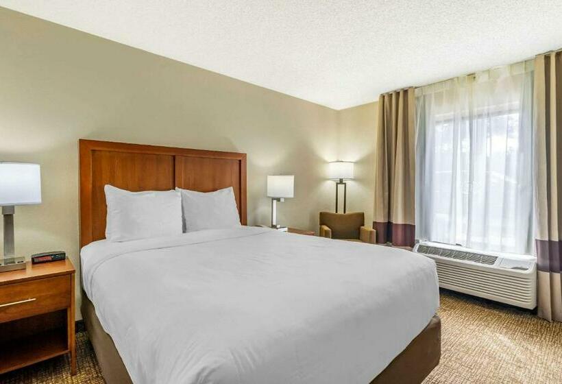 هتل Comfort Inn & Suites St. Pete  Clearwater International Airport