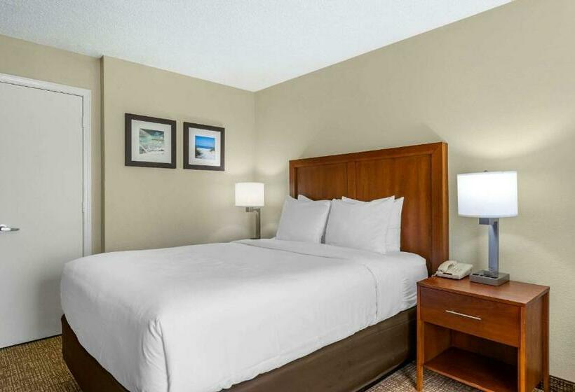 هتل Comfort Inn & Suites St. Pete  Clearwater International Airport