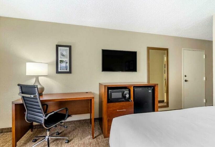 هتل Comfort Inn & Suites St. Pete  Clearwater International Airport