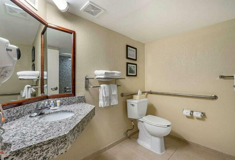 فندق Comfort Inn & Suites St. Pete  Clearwater International Airport