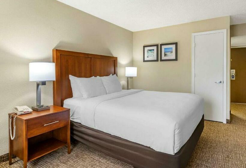 فندق Comfort Inn & Suites St. Pete  Clearwater International Airport