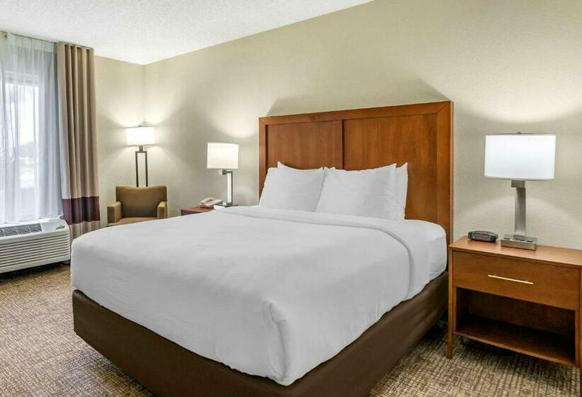 فندق Comfort Inn & Suites St. Pete  Clearwater International Airport